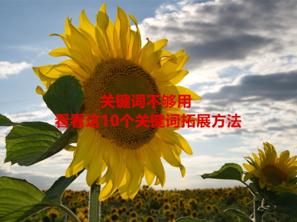 關(guān)鍵詞不夠用，看看這10個(gè)關(guān)鍵詞拓展方法！