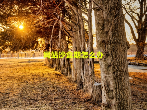 網(wǎng)站沙盒期怎么辦？